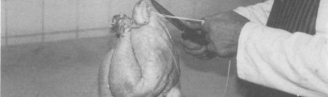 In bottle tastier than flesh...