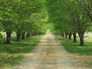 2013 or 1813? Can almost hear the trap rattling.