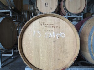 Orange Mountain 2013 Sangiovese...waiting patiently