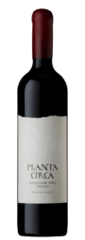 Planta-Circa-Shiraz