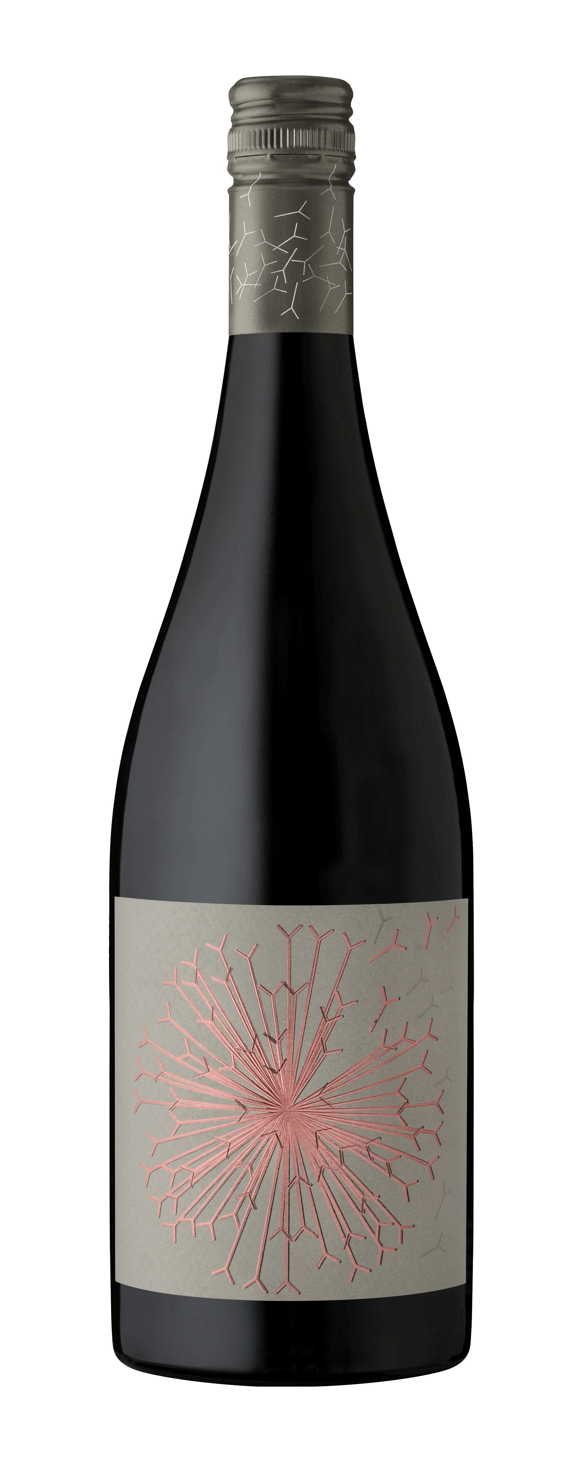 DandelionTreasureTrove